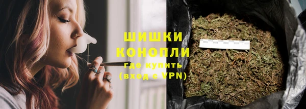 сатива Богородск