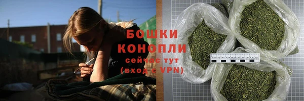 сатива Богородск
