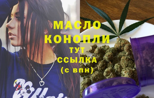 амф Богородицк