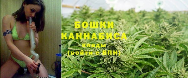 мяу мяу мука Богданович