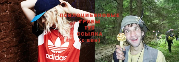амф Богородицк