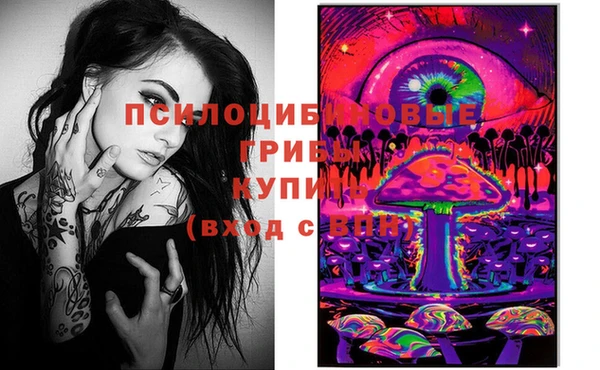 мяу мяу мука Богданович