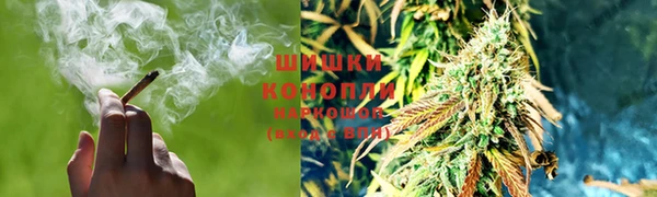 сатива Богородск
