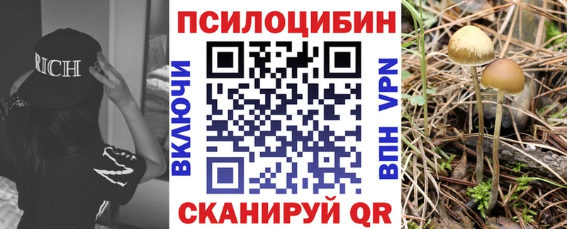 Галлюциногенные грибы мухоморы  Астрахань 